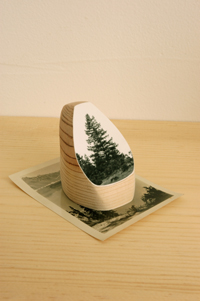 Timber, Copyright 2011, Alice Shaw